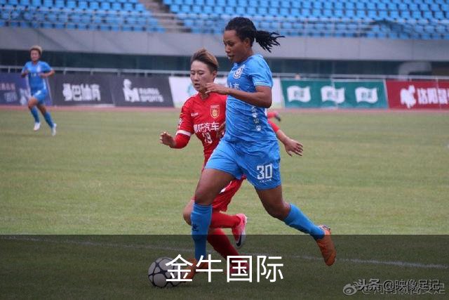 金牛国际公司简介图片